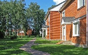 Озеленение крыши здания